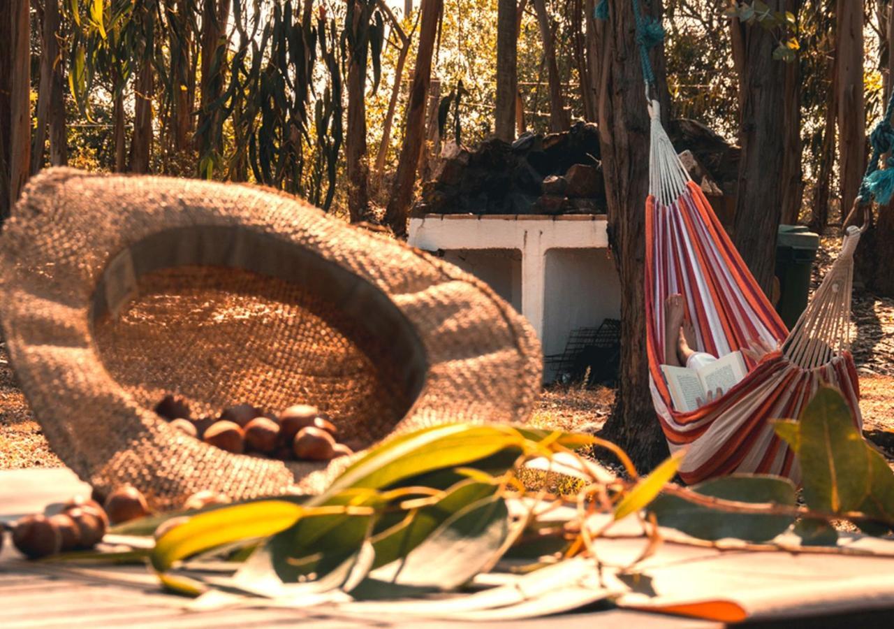 São Teotónio Cerro Da Fontinhaゲストハウス 部屋 写真